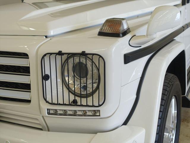 G350 ブルーテック ラグジュアリーパッケージ