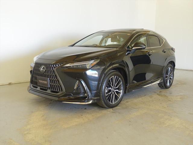NX350h バージョンL