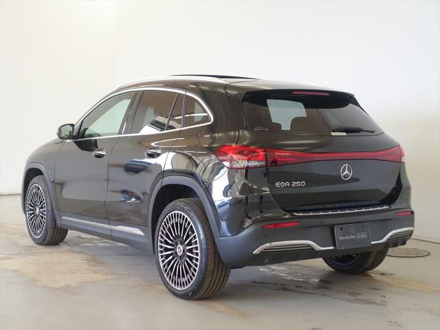 EQA250 AMGライン