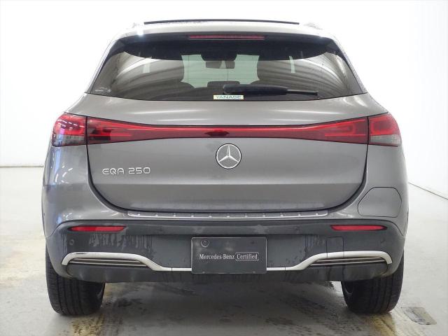 EQA250 AMGライン ナビゲーションパッケージプラスパッケージ