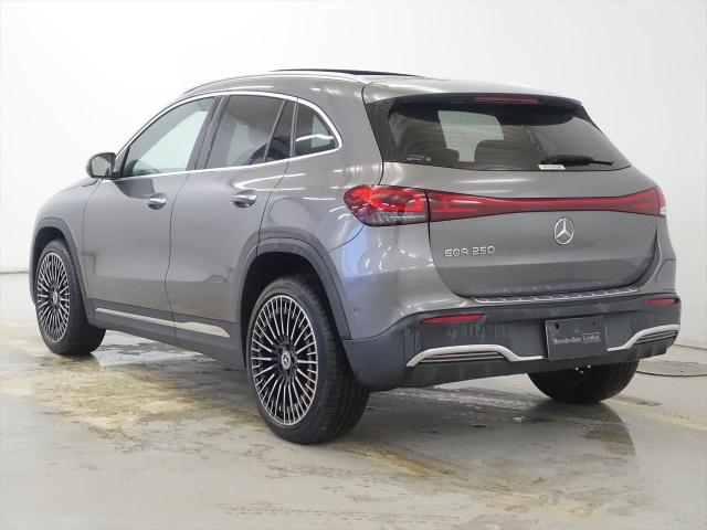 EQA250 AMGライン ナビゲーションパッケージプラスパッケージ