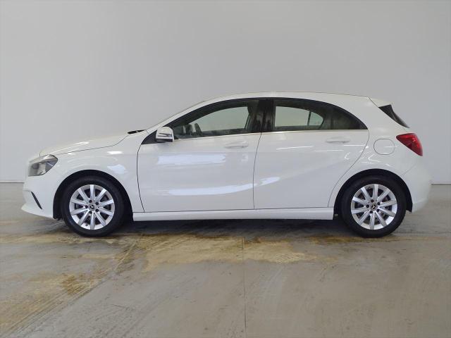 A180 スタイル レーダーセーフティパッケージ