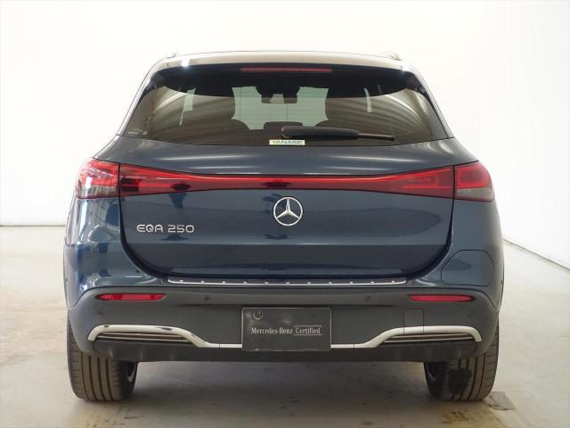 EQA250 AMGラインパッケージ