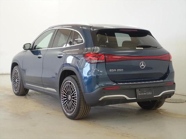 EQA250 AMGラインパッケージ