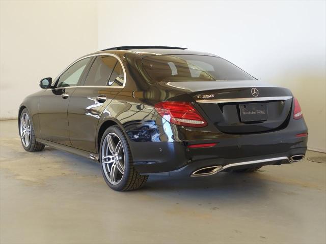 E250 アバンギャルド スポーツ レザーエクスクルーシブパッケージ