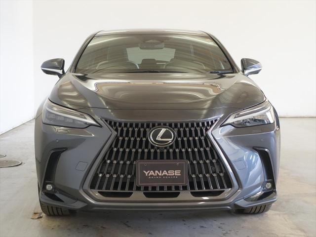 NX250 バージョンL