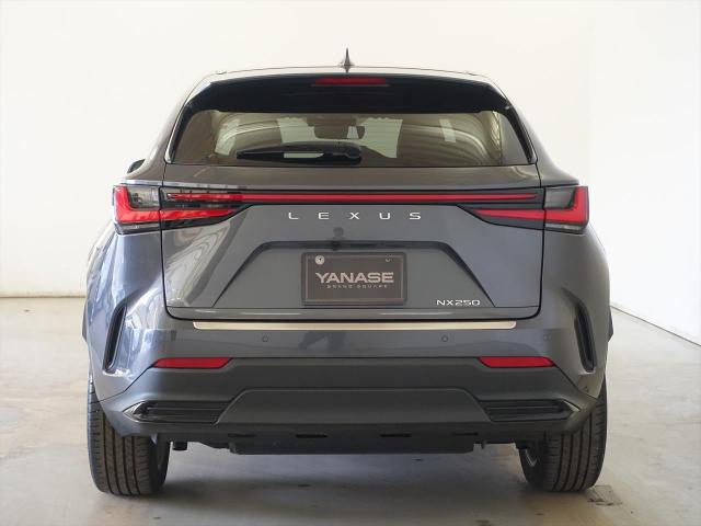 NX250 バージョンL