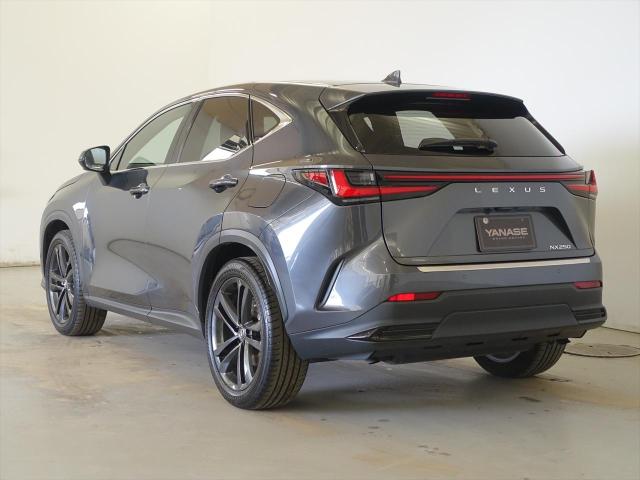 NX250 バージョンL