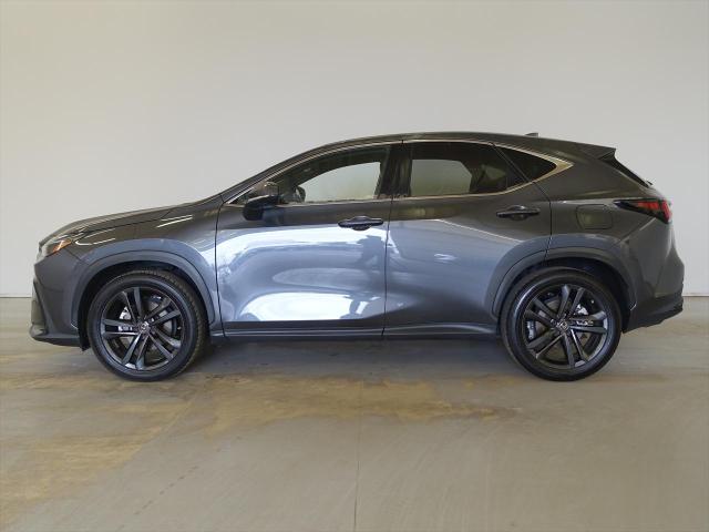 NX250 バージョンL