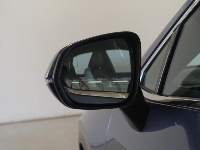 NX250 バージョンL