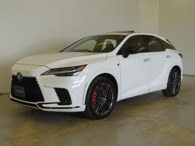 RX500h Fスポーツ パフォーマンス