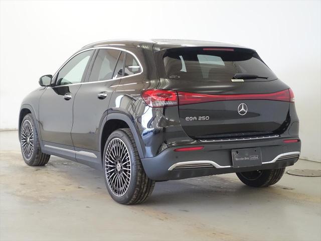 EQA250 AMGラインパッケージ