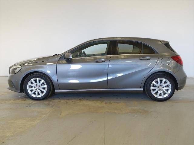 A180 レーダーセーフティパッケージ