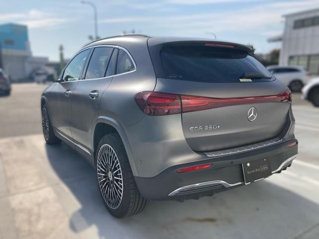 EQA250+ AMGラインパッケージ