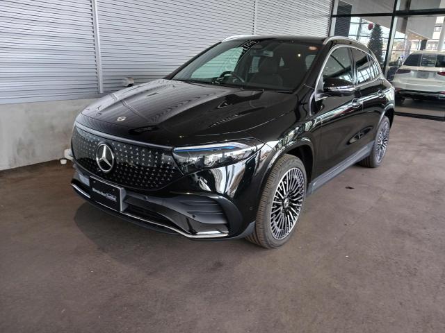 EQA250+ AMGラインパッケージ