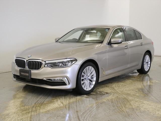 523d ラグジュアリー