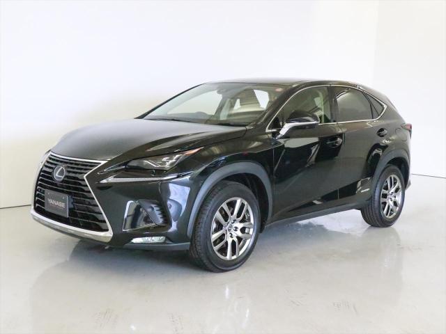NX300h バージョンL