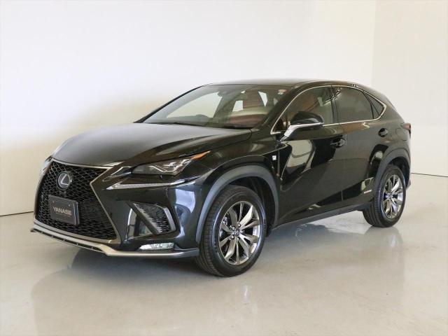 NX300h Fスポーツ
