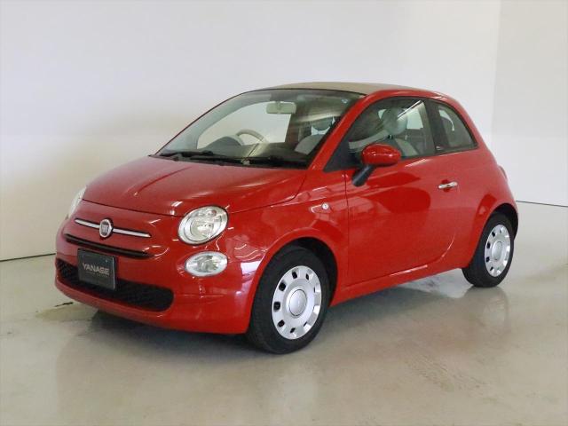 500C ミモザ2