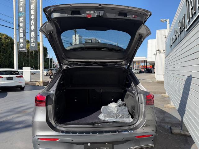 EQA250プラス AMGラインパッケージ