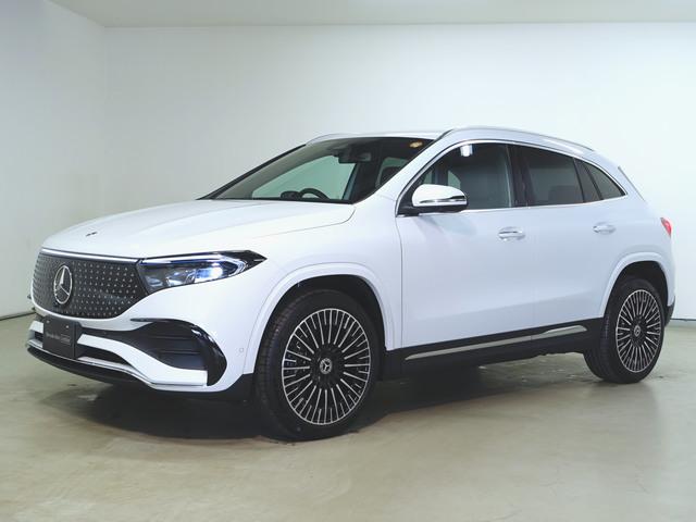 EQA250プラス AMGラインパッケージ