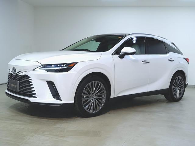 RX450hプラス バージョンL