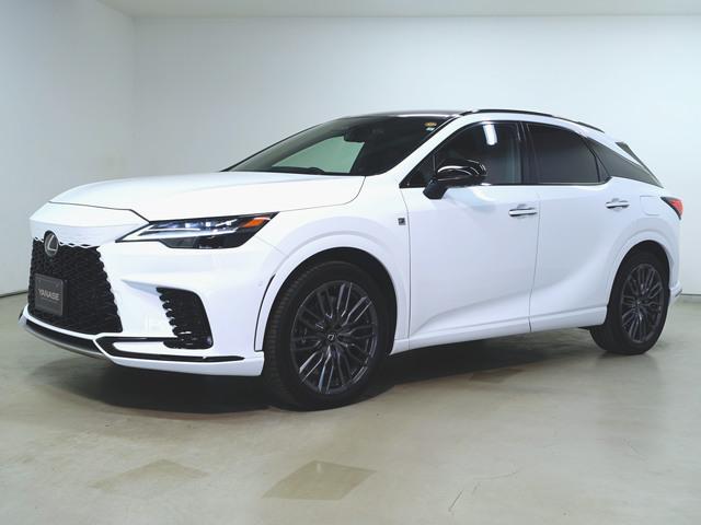 RX500h Fスポーツパフォーマンス