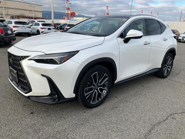 NX250 バージョンL