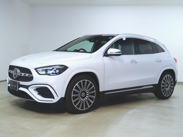 GLA180 AMGラインパッケージ AMGレザーエクスクルーシブパッケージ アドバンスドパッケージ