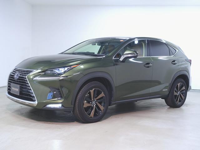 NX300h バージョンL