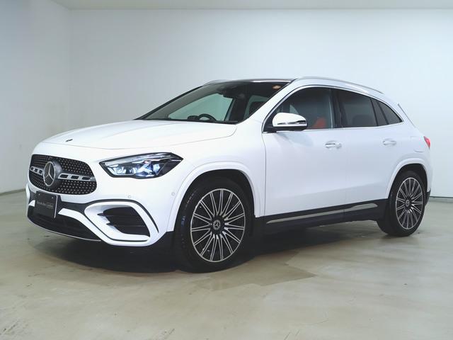 GLA180 AMGラインパッケージ AMGレザーエクスクルーシブパッケージ アドバンスドパッケージ