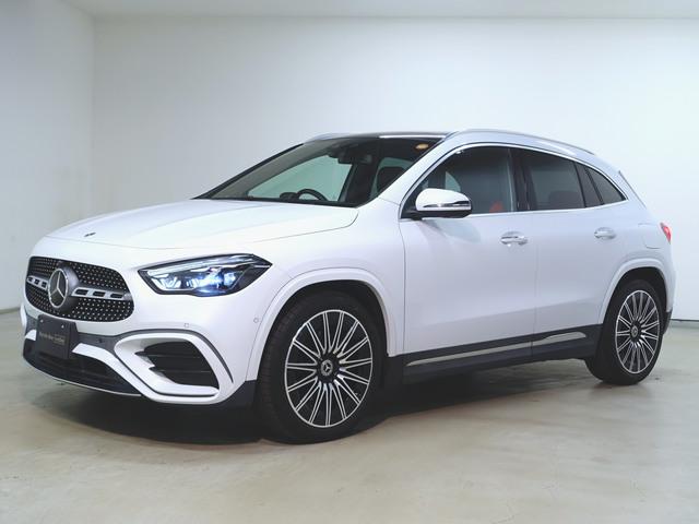 GLA200 d 4マチック AMGラインパッケージ アドバンスドパッケージ AMGレザーエクスクルーシブパッケージ