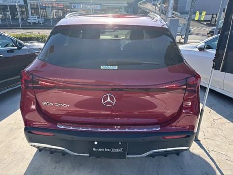 EQA250+ AMGラインパッケージ アドバンスドパッケージ