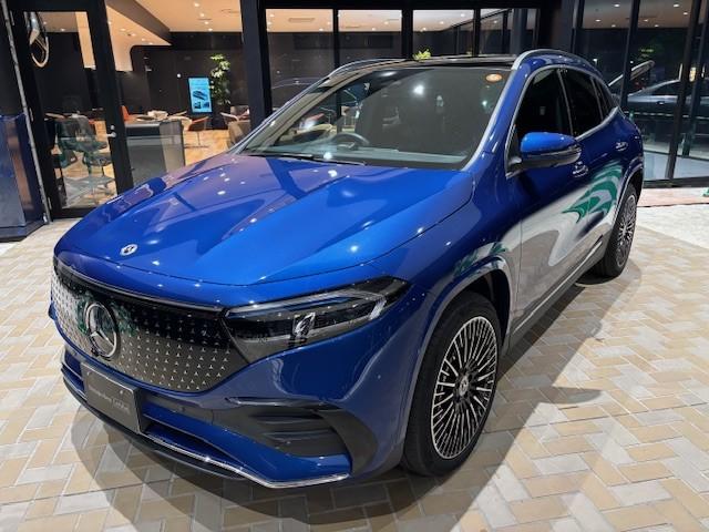 EQA250+ AMGラインパッケージ アドバンスパッケージ