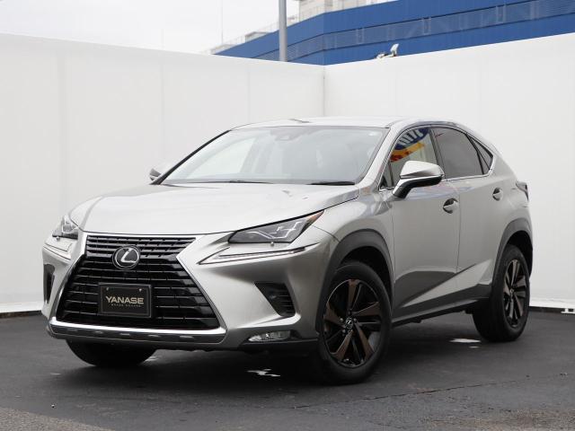 NX300 バージョンL