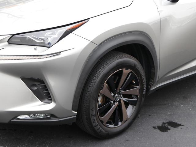 NX300 バージョンL