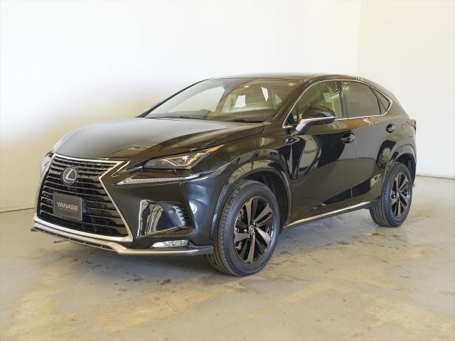 NX300 スパイク&シック