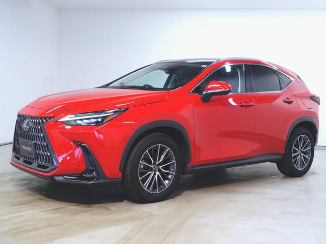 NX250