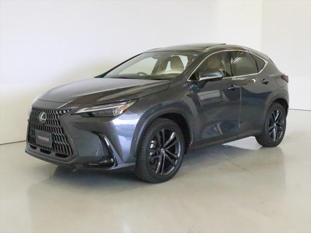 NX350h バージョンL