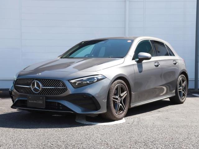 A180 テレマティックP AMGラインP